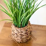 Guestready - Seaview Escape *